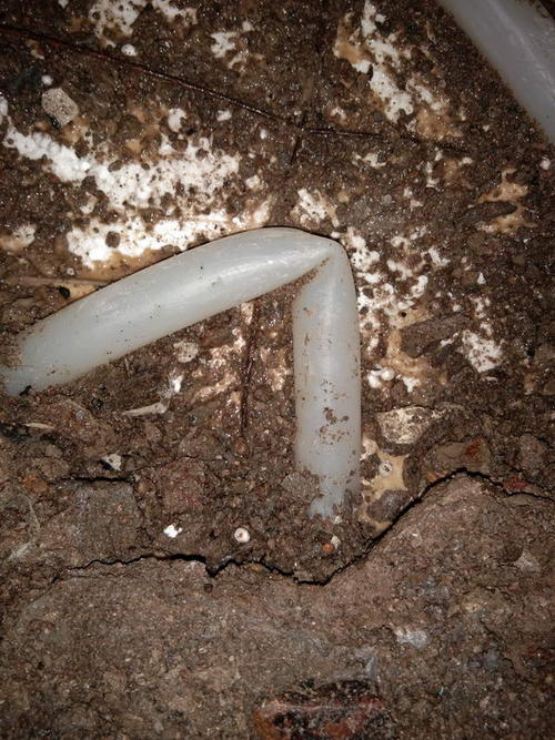 定日堵点精准查找